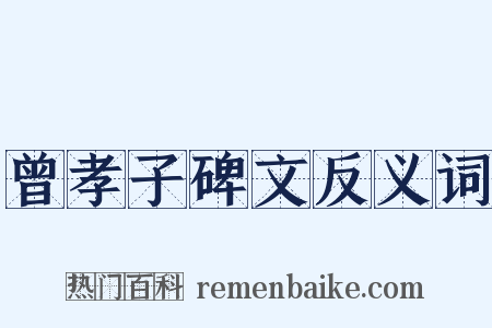 曾孝子碑文反义词是什么意思的图片